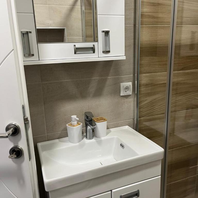 ADA Vrnjacka Banja - Apartman sa 1 Spavaćom Sobom - 9