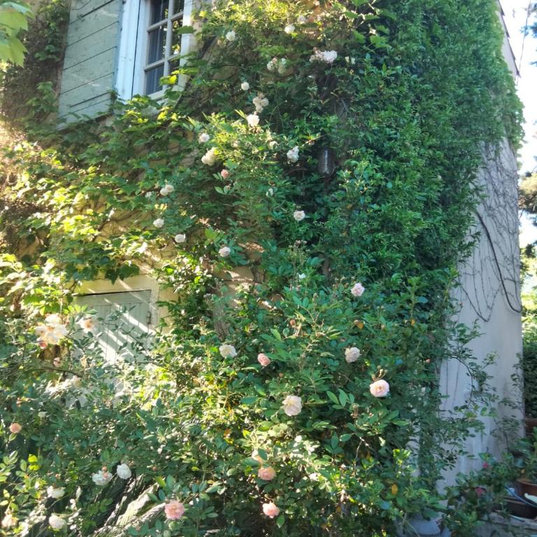 Le Mas de l'Embellie - Ferienhaus mit 3 Schlafzimmern - 31