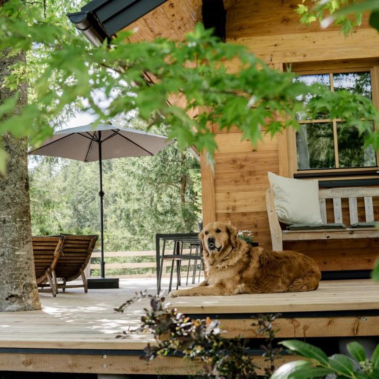 Hütte Neuhaus - Haus mit 1 Schlafzimmer - 9