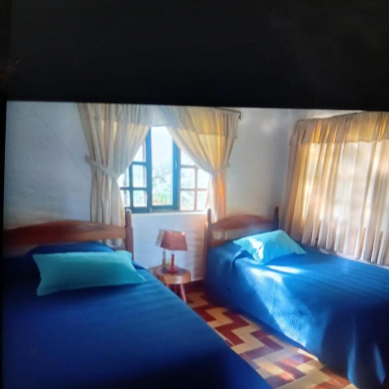 Cabaña Los Eucaliptos con Suite, TV 50 Mezzanine y Parrillero, Samaipata - Casa - 12