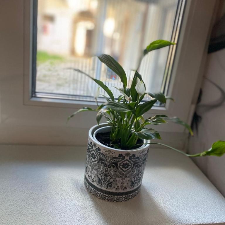 Marigold Premium - Apartman sa 1 Spavaćom Sobom - 37