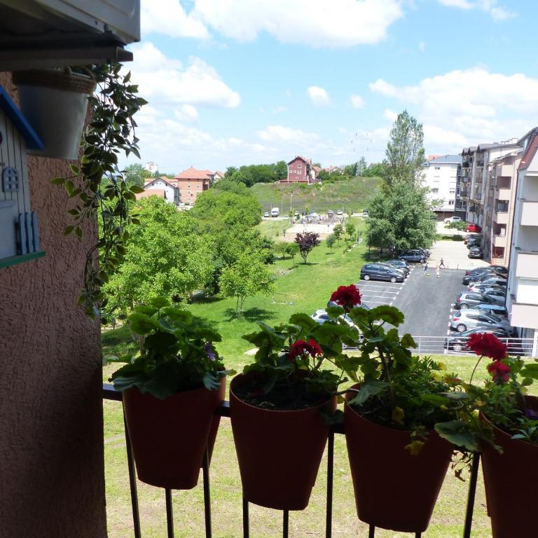 Tackica 13 Apartment - One-Bedroom Apartment - 7