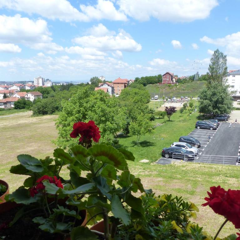 Tackica 13 Apartment - One-Bedroom Apartment - 12