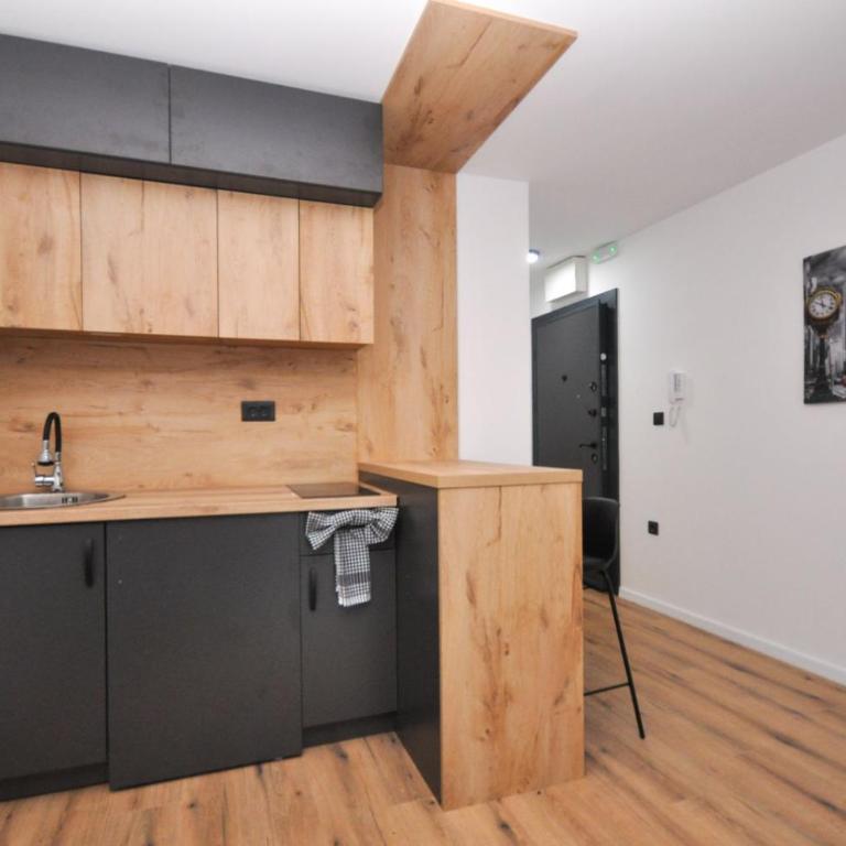 Studio Dobra Voda 14 - Apartman sa 1 Spavaćom Sobom - 3