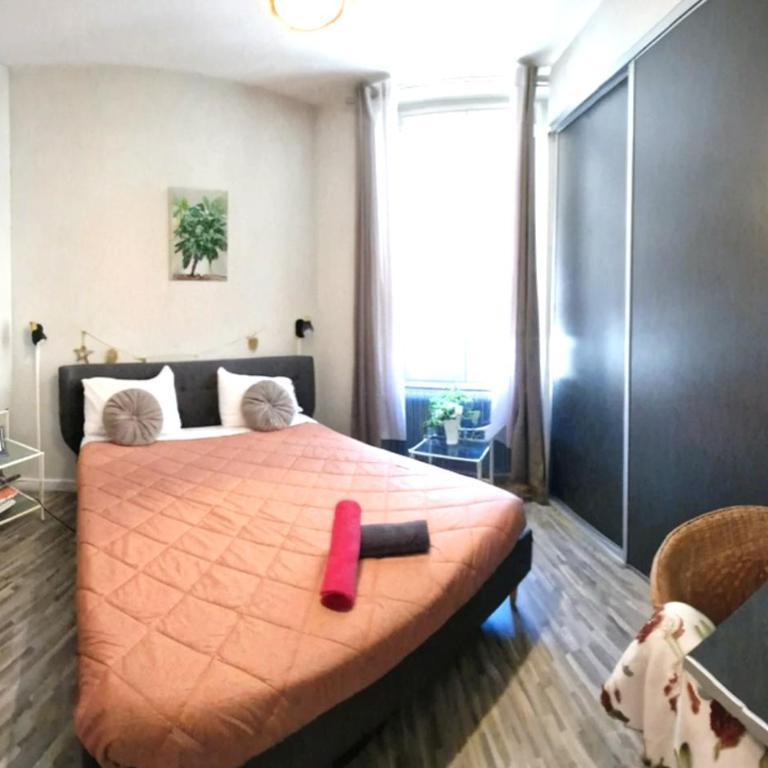L'Ocean Appartement lumineux centre Blois - Apartamento de 1 dormitorio - 6
