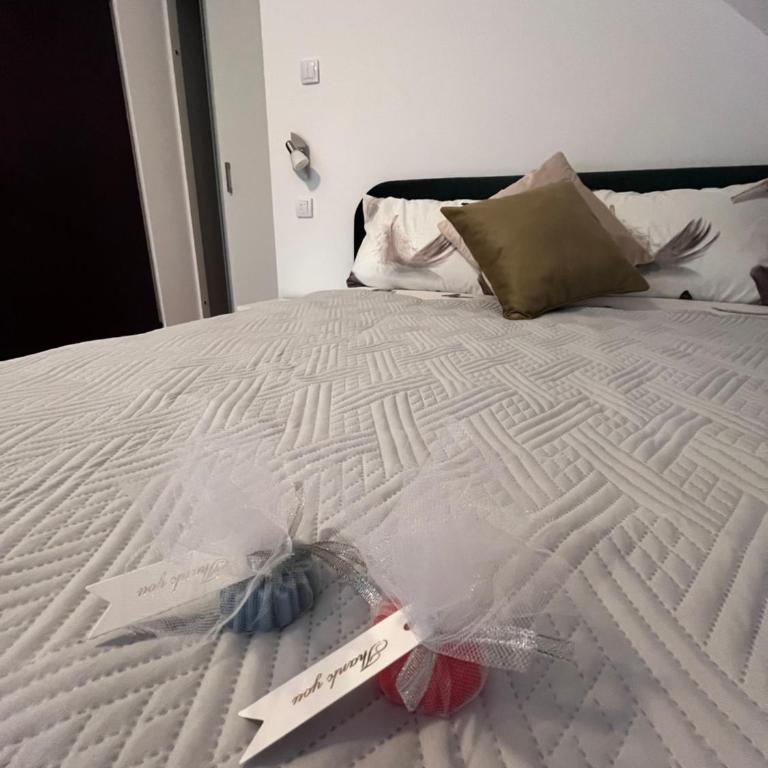 Guest House Vila Pobeda - Apartman Tipa "Suite" sa Terasom - 3