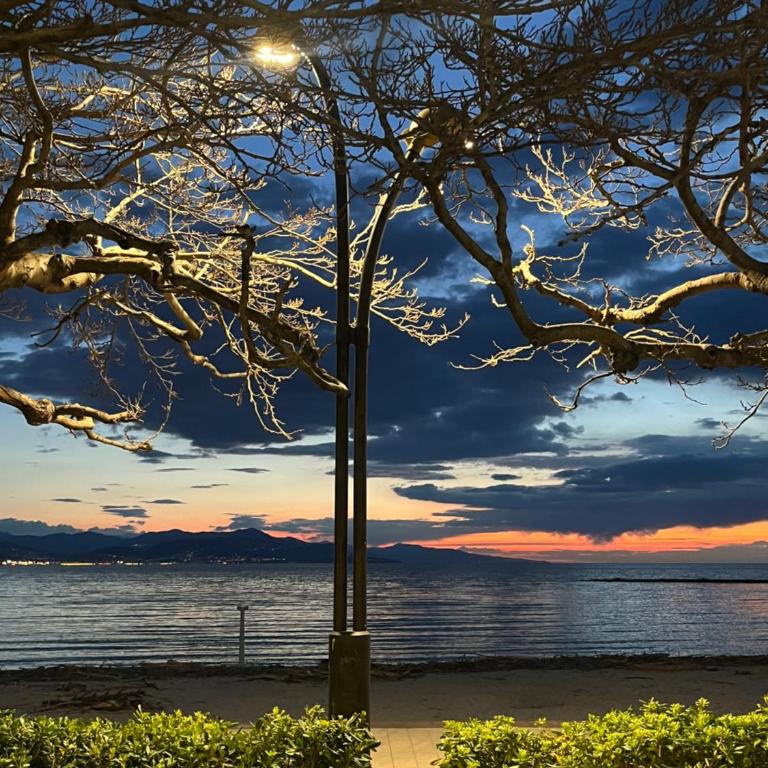 Exclusive 80 sqm apartment with private garden and terrace on the Cap d Antibes, 300 mt from sandy Plage de la Salis - Appartement - Vue sur Piscine - 23