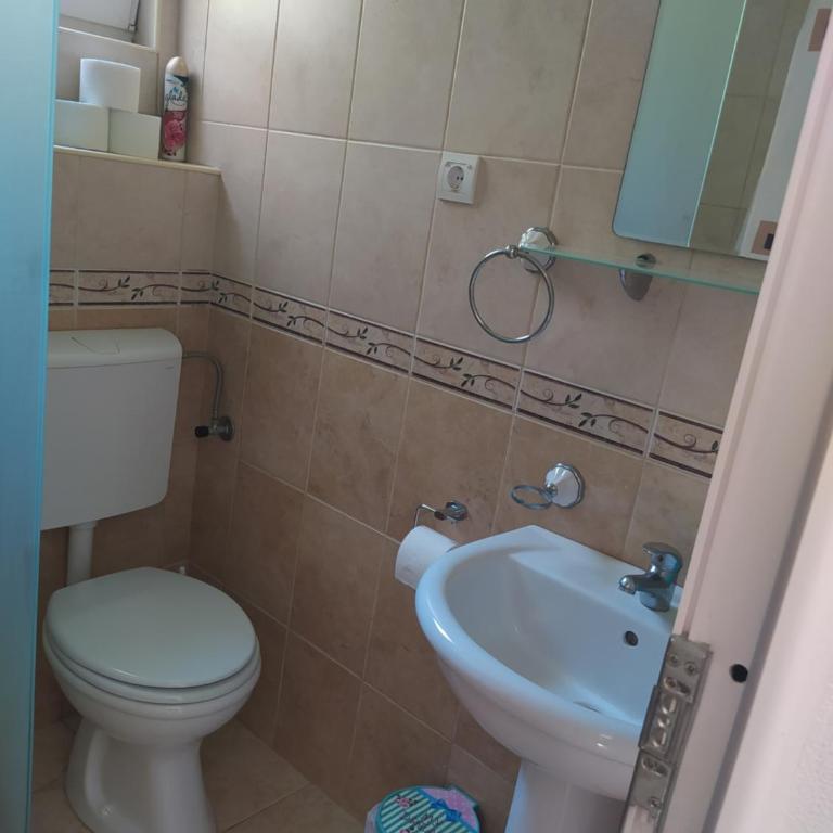 Petrovic apartmani - Apartman - Prizemlje - 6