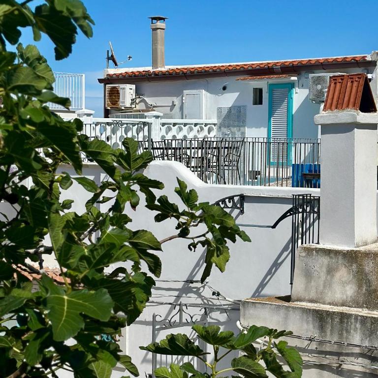 Vieste Rooftop - Sea view near Pizzomunno - Free private Parking - Two-Bedroom House - 36