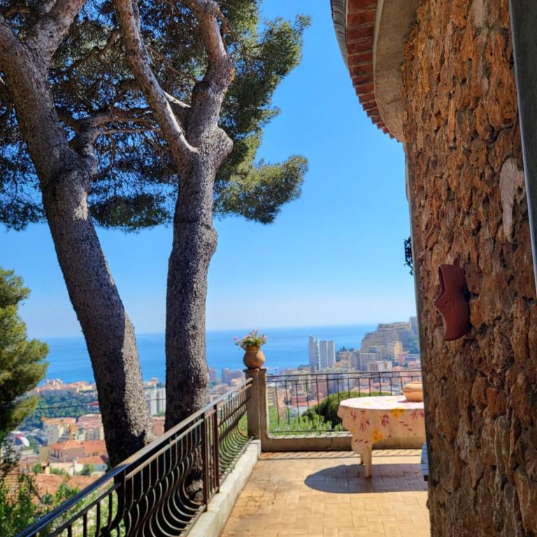 Appartement dans villa provençale avec terrain de boules vue imprenable sur monaco - Appartamento con 2 Camere da Letto - 2