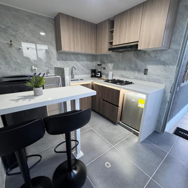 Loft 501 en exclusivo sector con terraza privada - Apartamento de 1 dormitorio con terraza - 1
