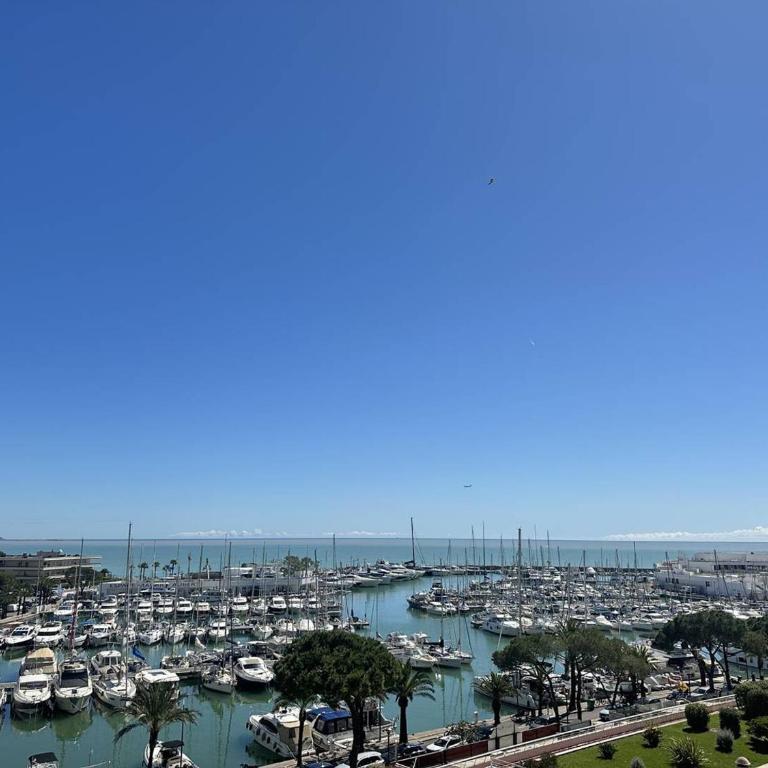Appartement spacieux avec terrasse vue port, parking inclus - FR-1-252A-133 - Appartamento - 13