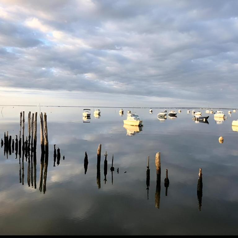VILLA ESCAPADES AU FERRET idéal Famille ou groupe d'Amis avec piscine chauffée 5 chambres Proche plages et pistes cyclables commerces Séjour paisible au cœur du Bassin d'Arcachon Nous répondons très rapidement aux demandes de renseignements - Villa - 17