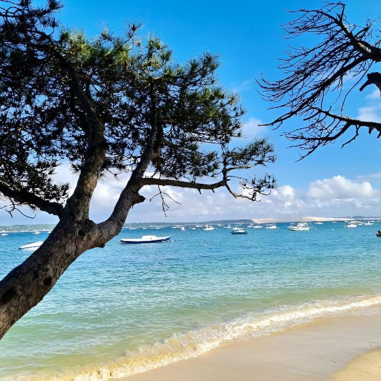 VILLA ESCAPADES AU FERRET idéal Famille ou groupe d'Amis avec piscine chauffée 5 chambres Proche plages et pistes cyclables commerces Séjour paisible au cœur du Bassin d'Arcachon Nous répondons très rapidement aux demandes de renseignements - Villa - 42