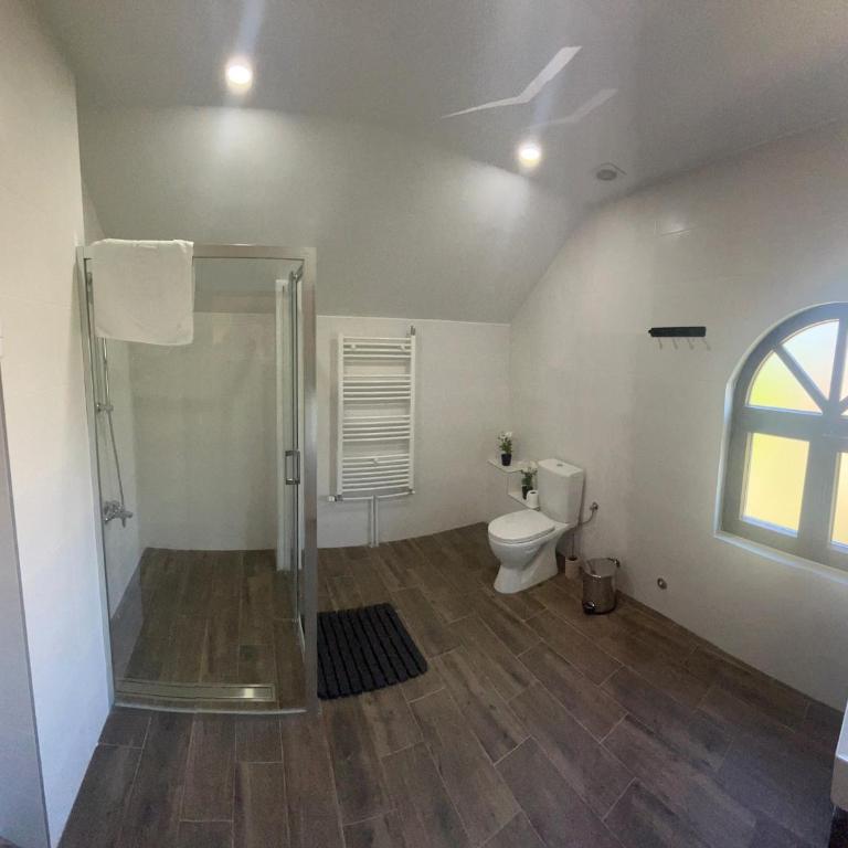 Guest House Vila Pobeda - Apartman Tipa "Suite" sa Terasom - 28