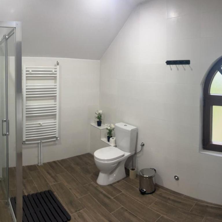 Guest House Vila Pobeda - Apartman Tipa "Suite" sa Terasom - 29