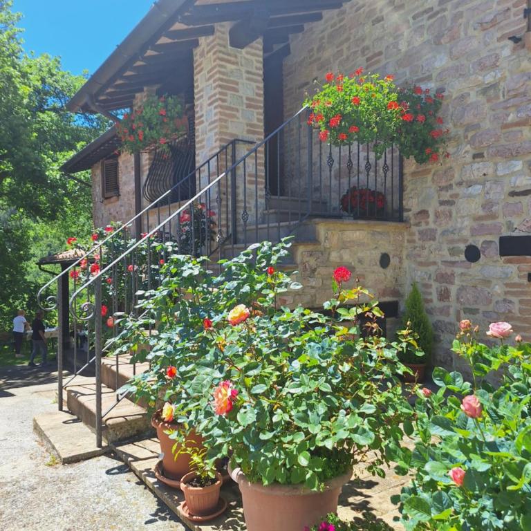 Assisi Casa Vacanze Da Luigi - Casa con 3 Camere da Letto - 5