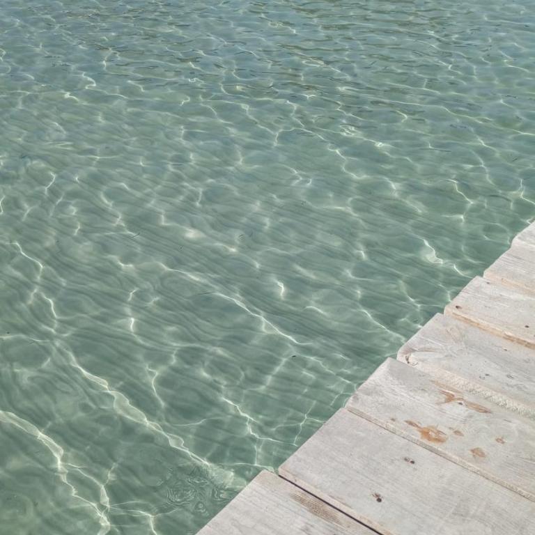 Relax in the sun - Estudio con vistas a la piscina - 16