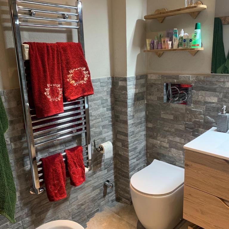 Bijoux sulle piste - Appartamento con 1 Camera da Letto - 4