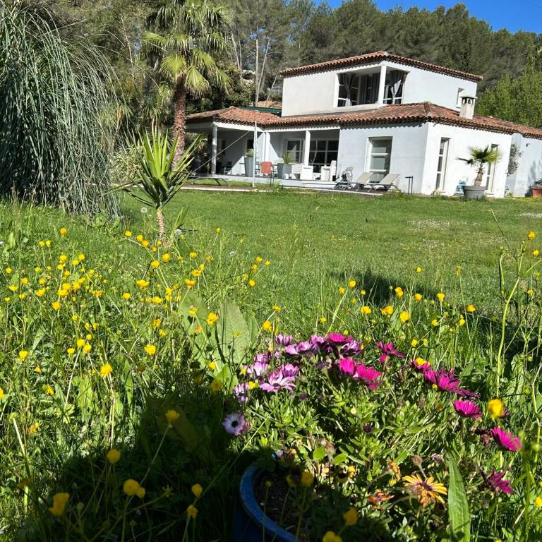 Villa Anne-Marie - Villa con piscina privada - 14