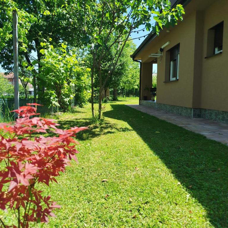Villa Orhan - Three-Bedroom Villa - 12