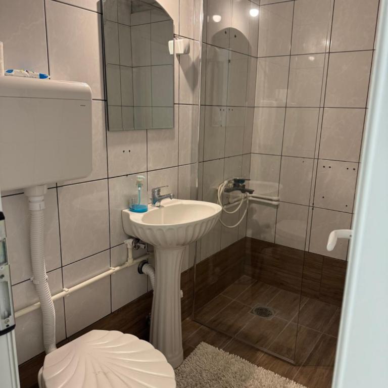 Apartman Rasic - Apartman sa 1 Spavaćom Sobom - 9