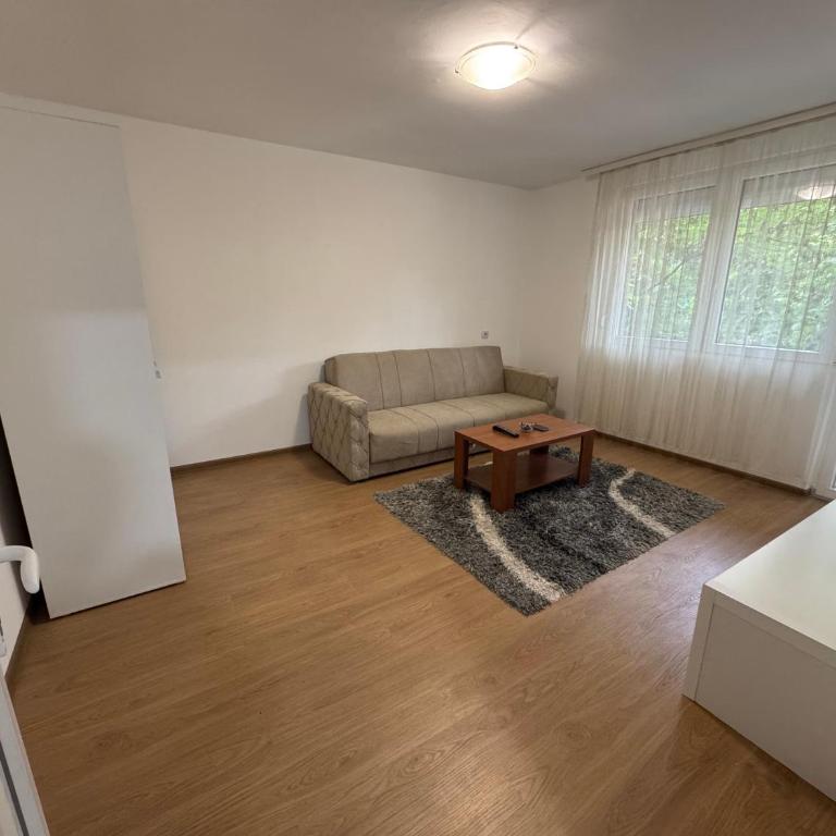 Apartman Rasic - Apartman sa 1 Spavaćom Sobom - 3