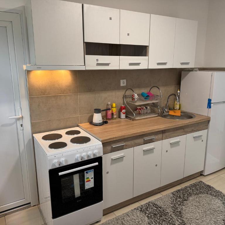 Apartman Rasic - Apartman sa 1 Spavaćom Sobom - 7