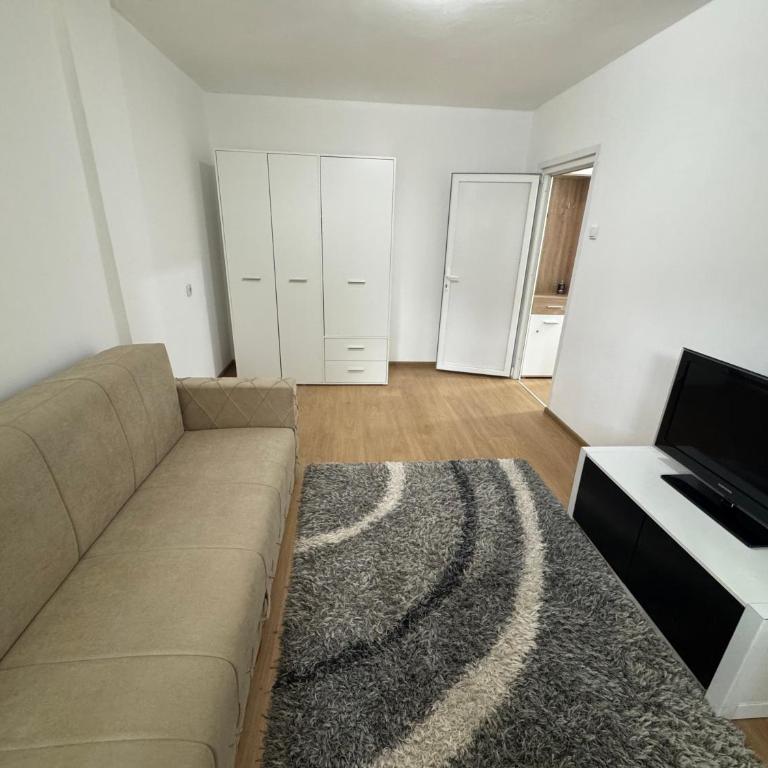 Apartman Rasic - Apartman sa 1 Spavaćom Sobom - 13