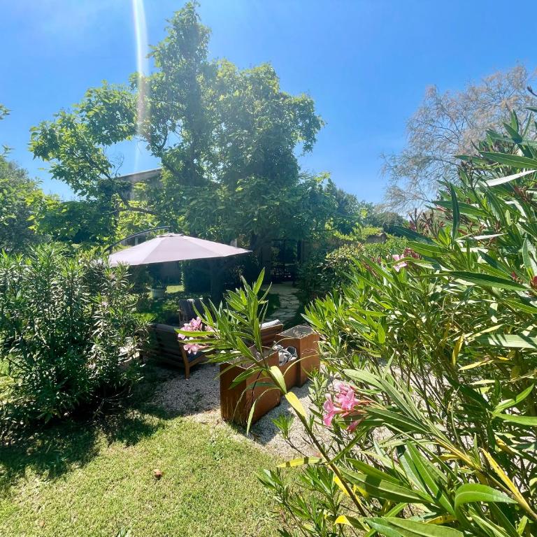 La belle histoire Gîte Ventoux - Studio avec Vue sur Jardin - 16