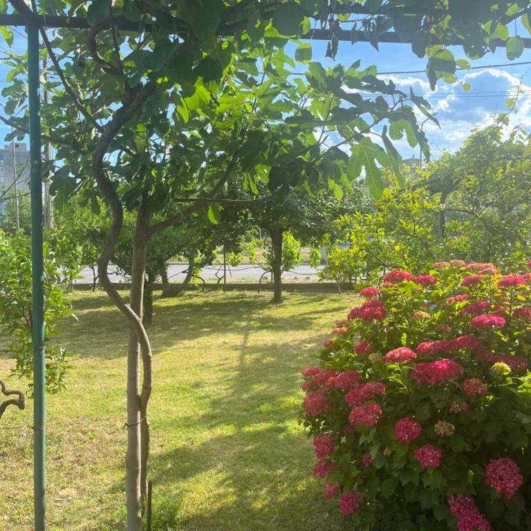 R&S two bedroom apartment - Apartman sa 1 Spavaćom Sobom - 24