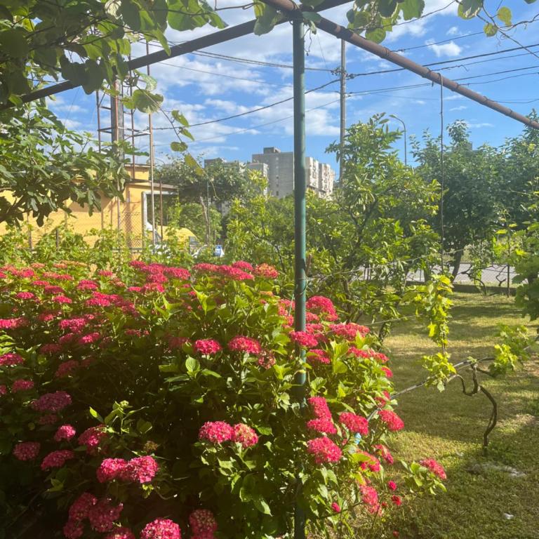 R&S two bedroom apartment - Apartman sa 1 Spavaćom Sobom - 25