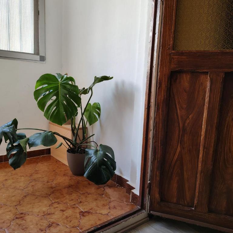 Agui House - Double Room - 13