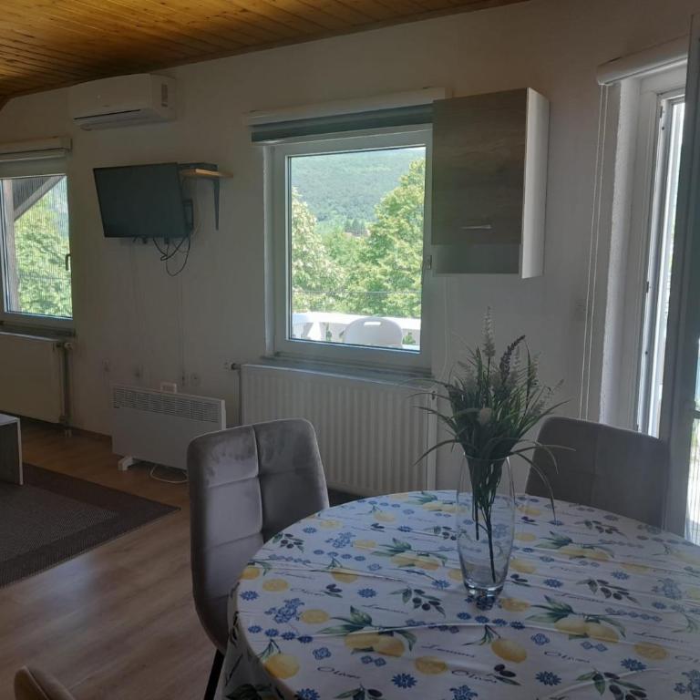 Amina River Apartment - Two-Bedroom Apartment with Lake View - 5