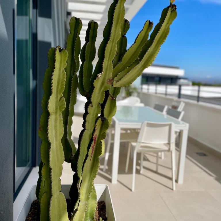 Ático de lujo donde disfrutar del mar y el Golf - Apartamento de 3 dormitorios - 11