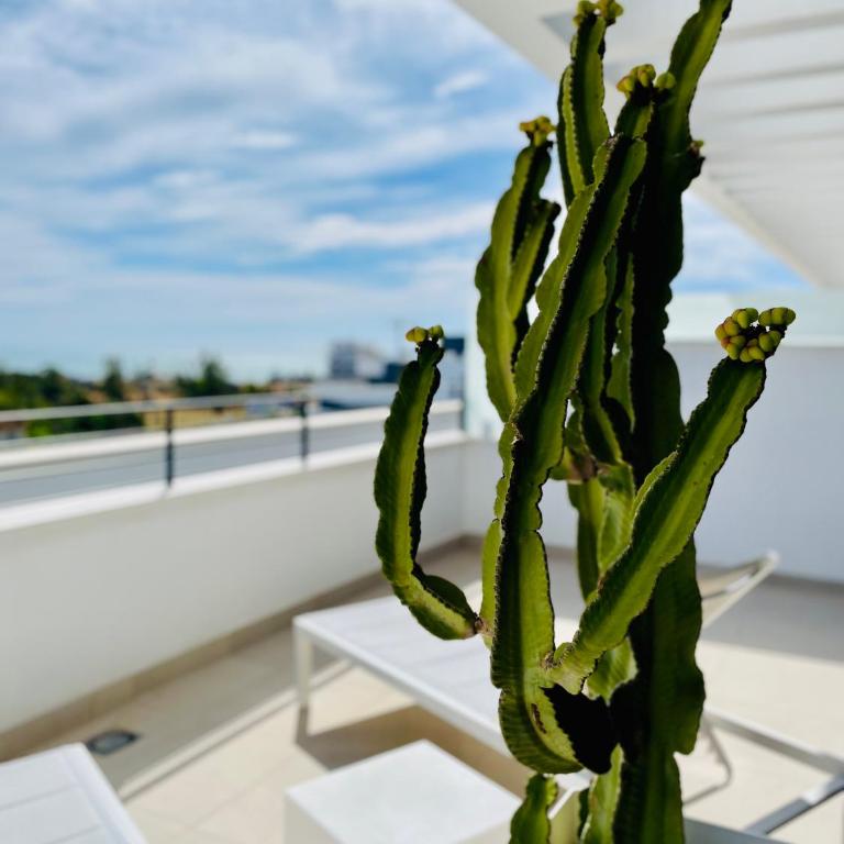 Ático de lujo donde disfrutar del mar y el Golf - Apartamento de 3 dormitorios - 12