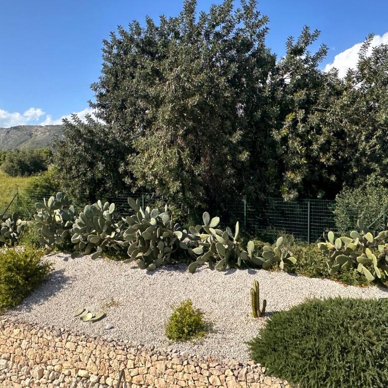 Tenuta Fico d'India - Casa Aliva - Villa con 2 Camere da Letto - 15