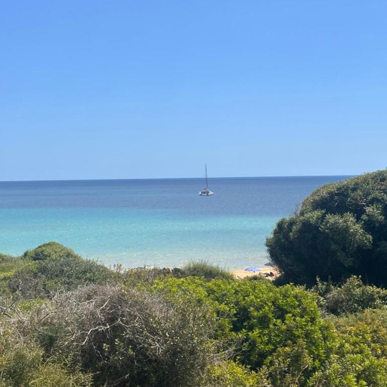 Tenuta Fico d'India - Casa Aliva - Villa con 2 Camere da Letto - 6