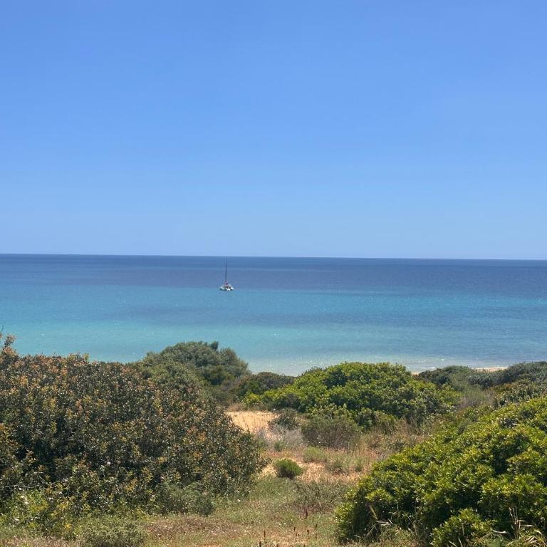 Tenuta Fico d'India - Casa Aliva - Villa con 2 Camere da Letto - 5