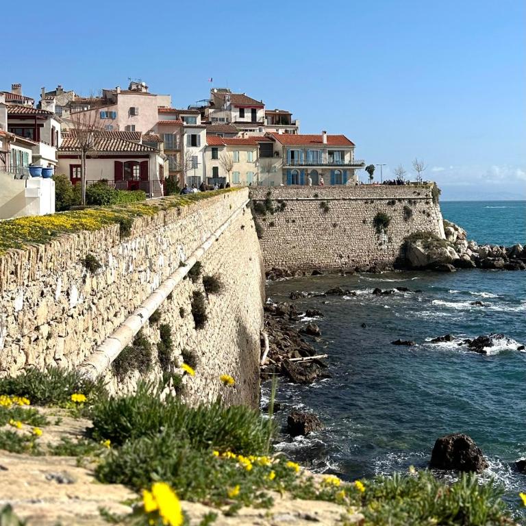 Antibes Lovely apartment - Appartamento con 1 Camera da Letto - 13