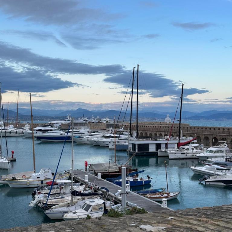 Antibes Lovely apartment - Appartamento con 1 Camera da Letto - 12