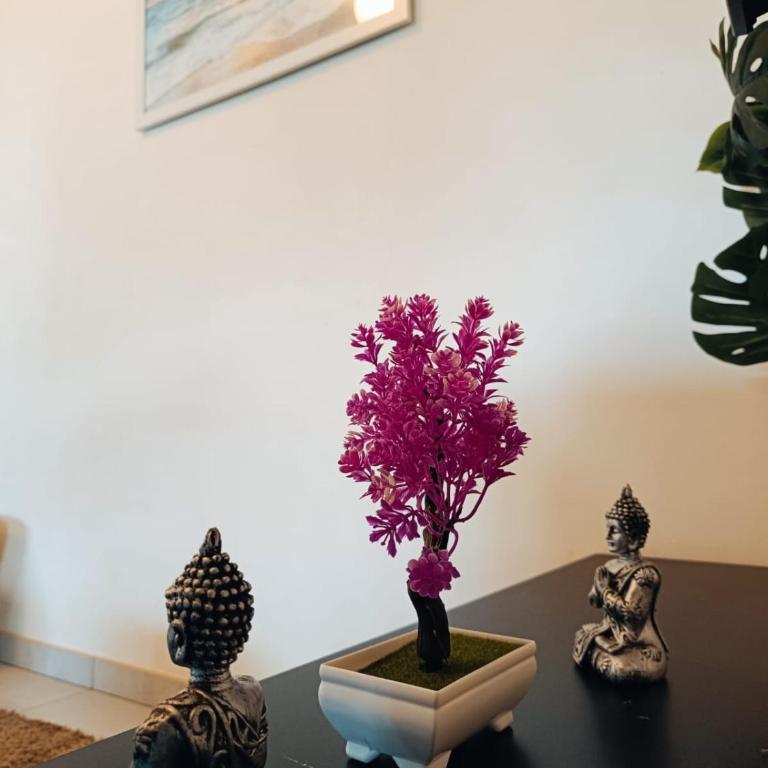 Pleasant Garden - Appartement 1 Chambre - 3