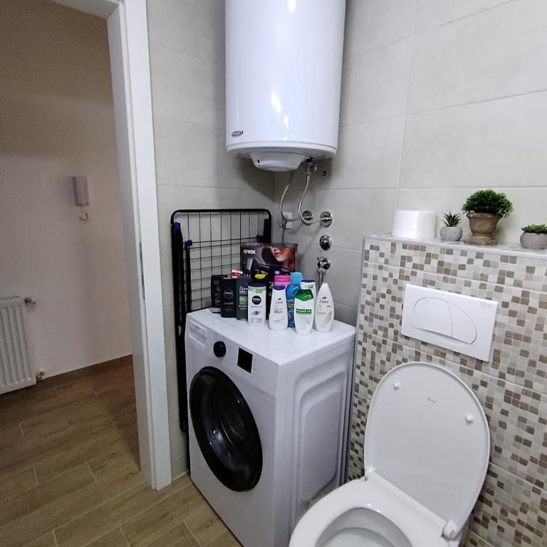 Ljilja Studio Apartman - Apartman sa 1 Spavaćom Sobom - 12