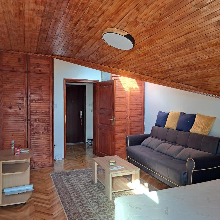 Stan na dan centar - Classic One-Bedroom Apartment with King Bed - 9