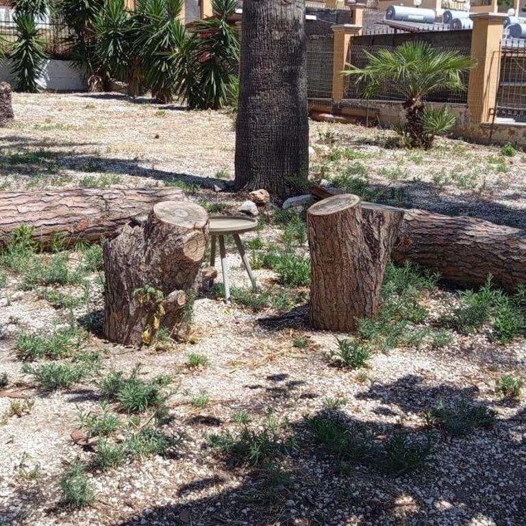 Finestra Sul Mare - Apartment - Ground Floor - 22