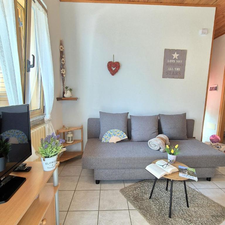 Residence Casa Silvana - Appartamento con 1 Camera da Letto e Vista Lago - 3