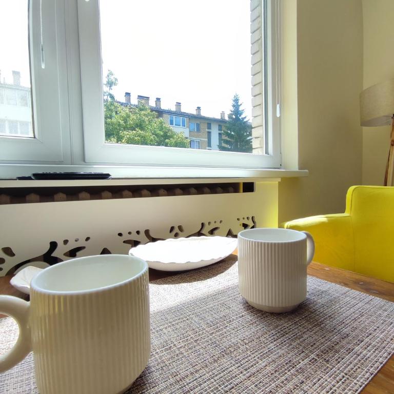Scandi studio apartment Sarajevo - Apartman sa 1 Spavaćom Sobom - 14
