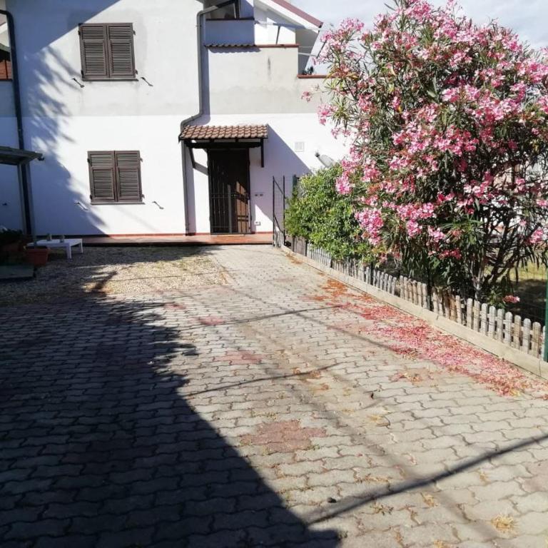Casa Ulivo - Garden&Terrace - Pet Friendly - Appartamento con 2 Camere da Letto e Vista Giardino - 21