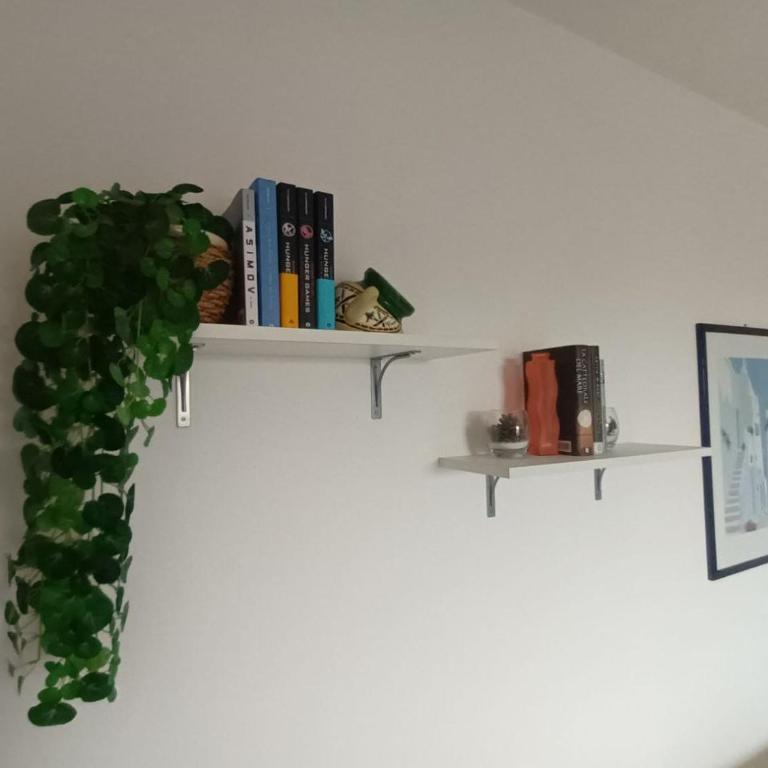 Casa Ulivo - Garden&Terrace - Pet Friendly - Appartamento con 2 Camere da Letto e Vista Giardino - 10
