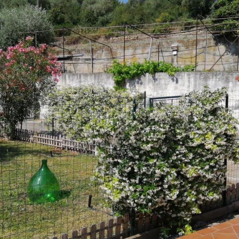 Casa Ulivo - Garden&Terrace - Pet Friendly - Appartamento con 2 Camere da Letto e Vista Giardino - 16